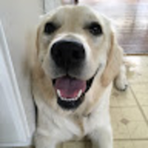 Meet your Posher, Bryan - Picture 1 of 1